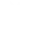 Flog icon